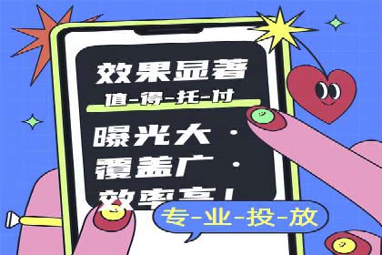 SEM代运营案例分析：精准投放策略解析